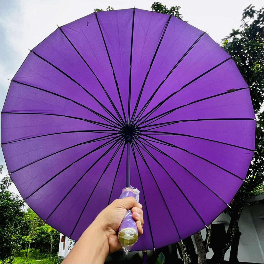 516369403_122165757650502460_3263122096880941096_n