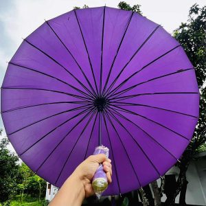 ২৪ শিকের ছাতা (Perpel)