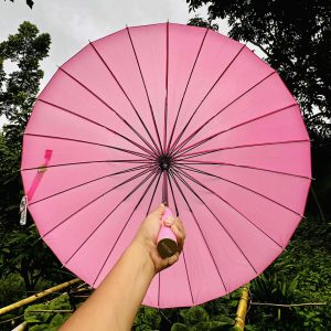 ২৪ শিকের ছাতা (Pink)