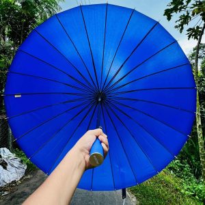 ২৪ শিকের ছাতা (Deep Blue)