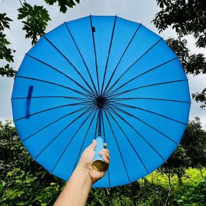 ২৪ শিকের ছাতা ( Bright Blue)